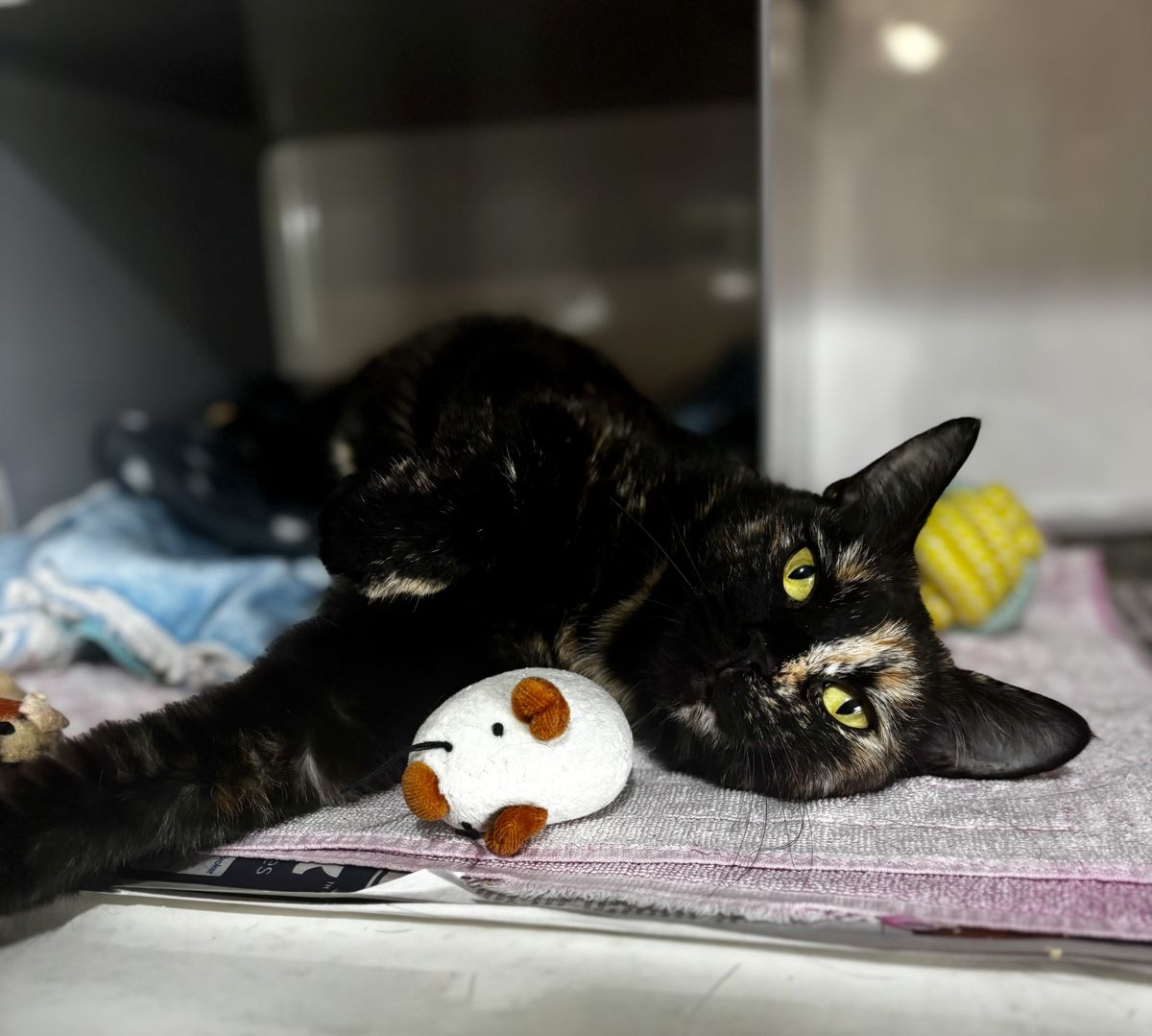 Gallery image: Freya