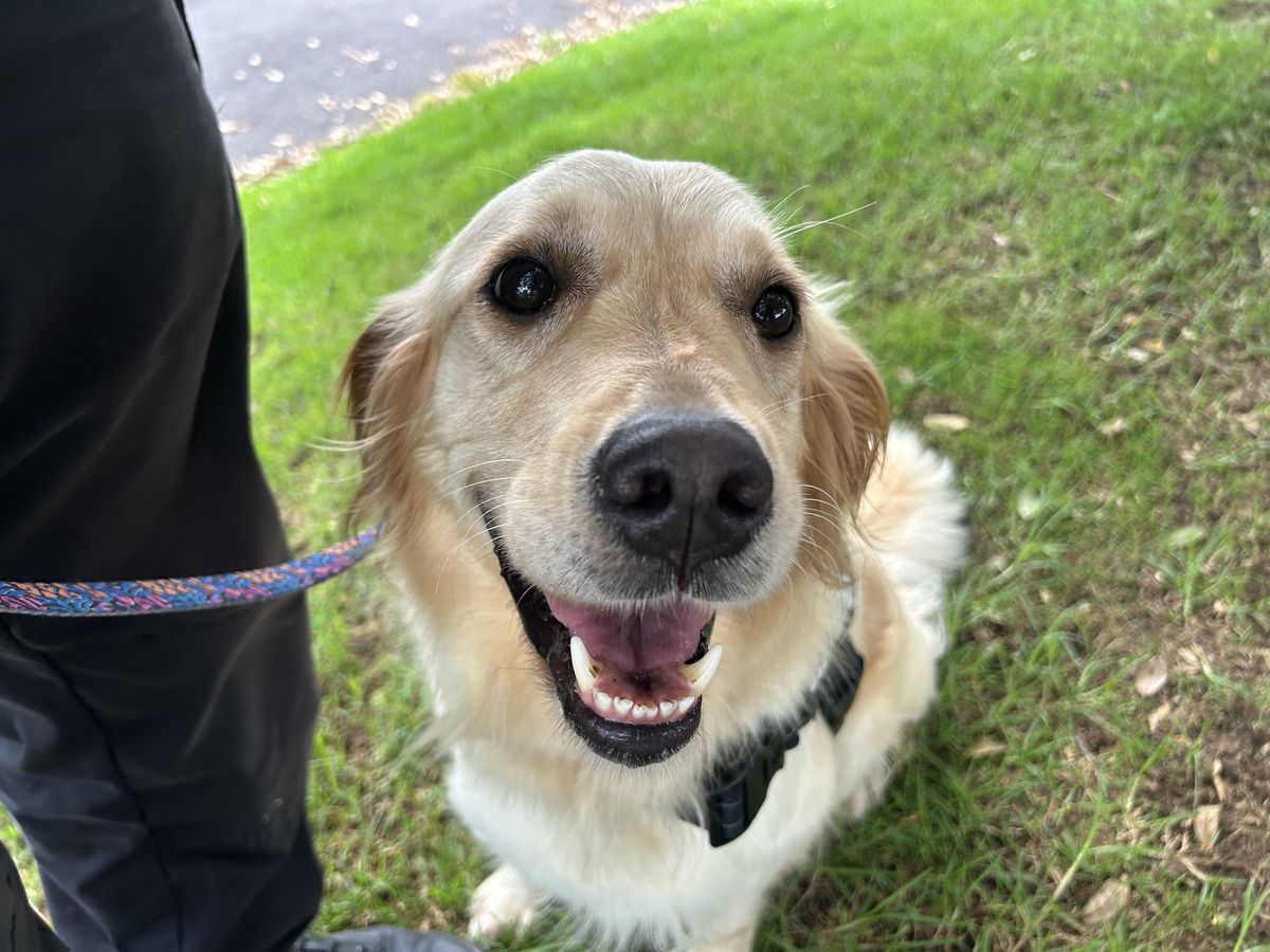 Gallery image: Sandy