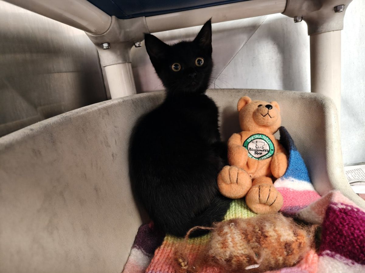 Gallery image: Apollo