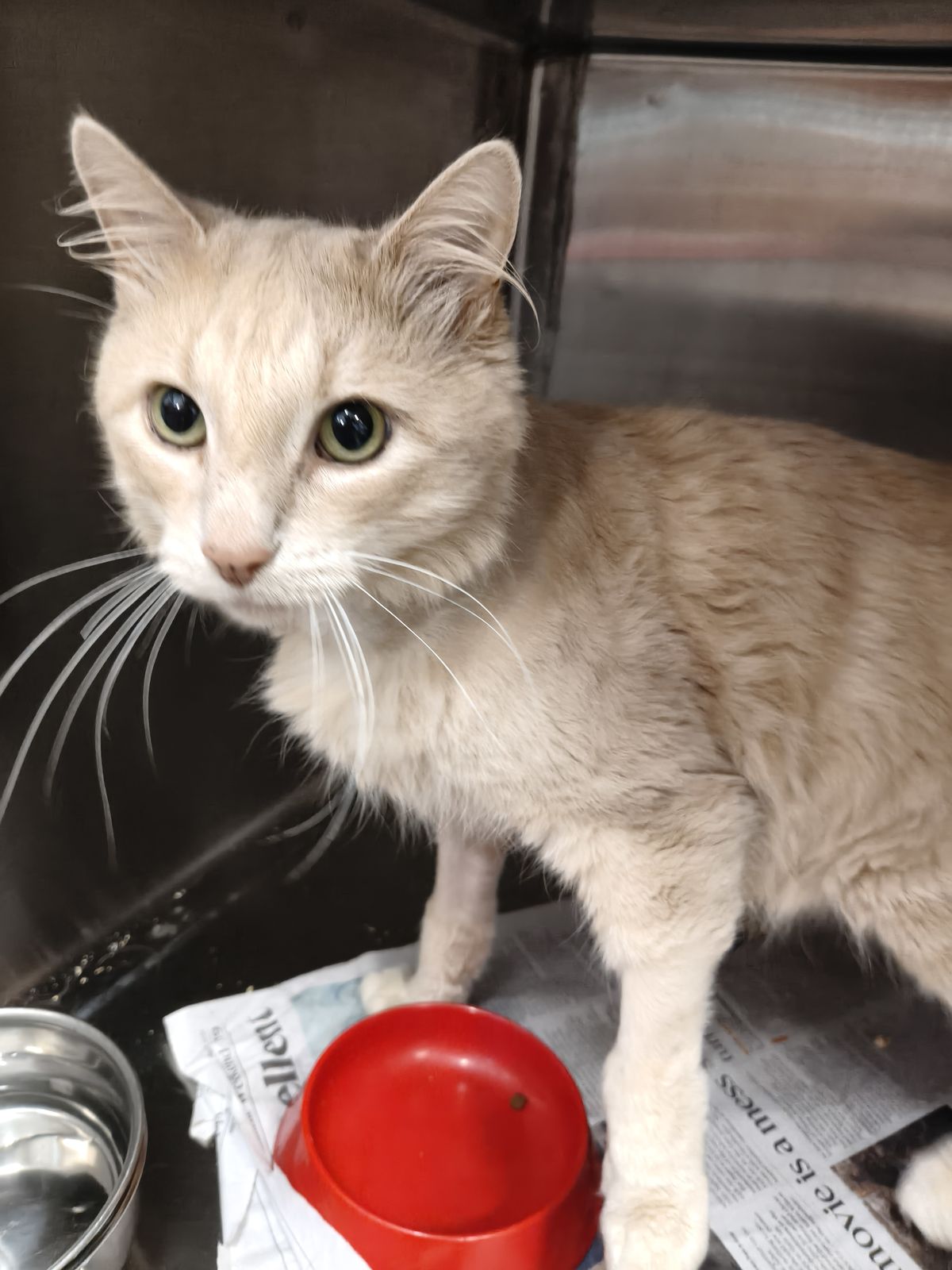 Gallery image: Edgar