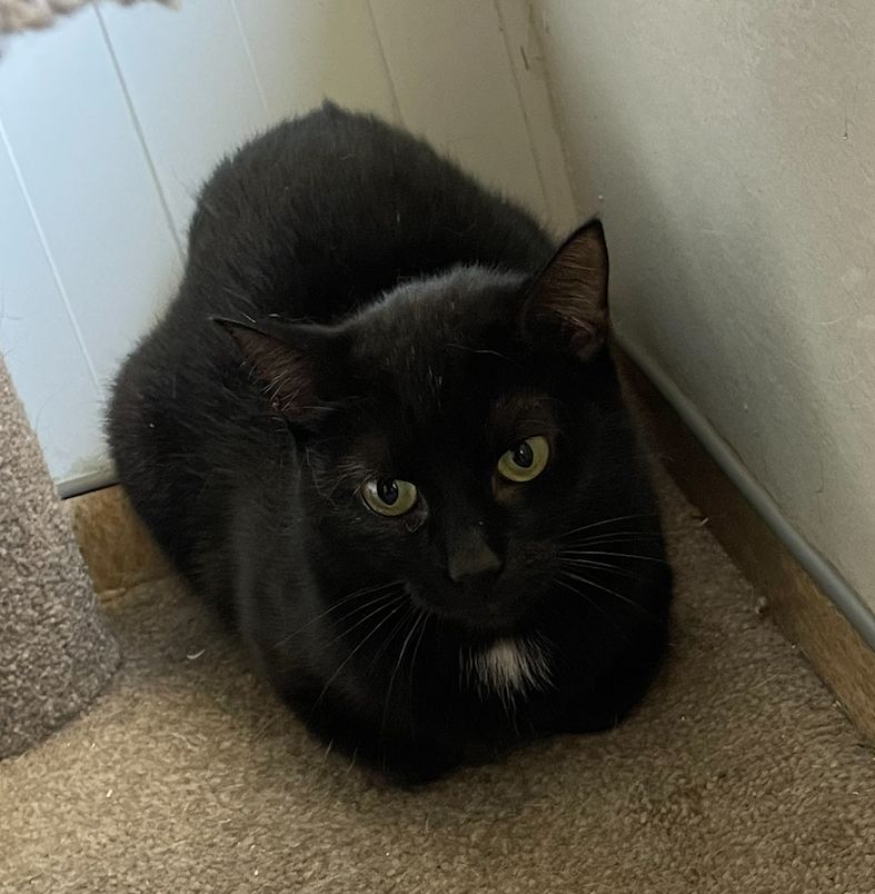 Gallery image: Spice