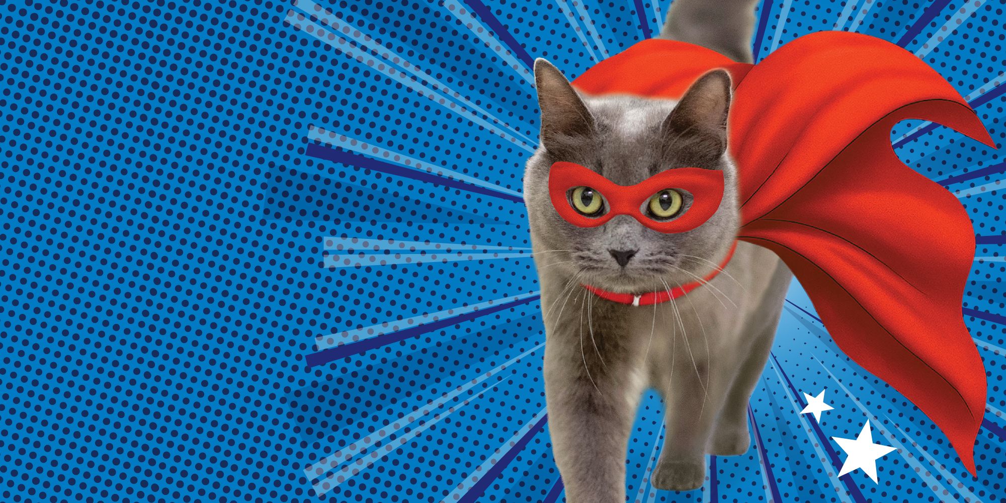 Every Hero deserves a Home