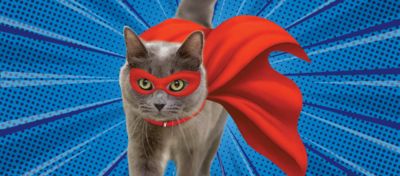 SPCA launches ‘Super Mums’ adoption campaign and walk‑in ‘Caturdays’ 