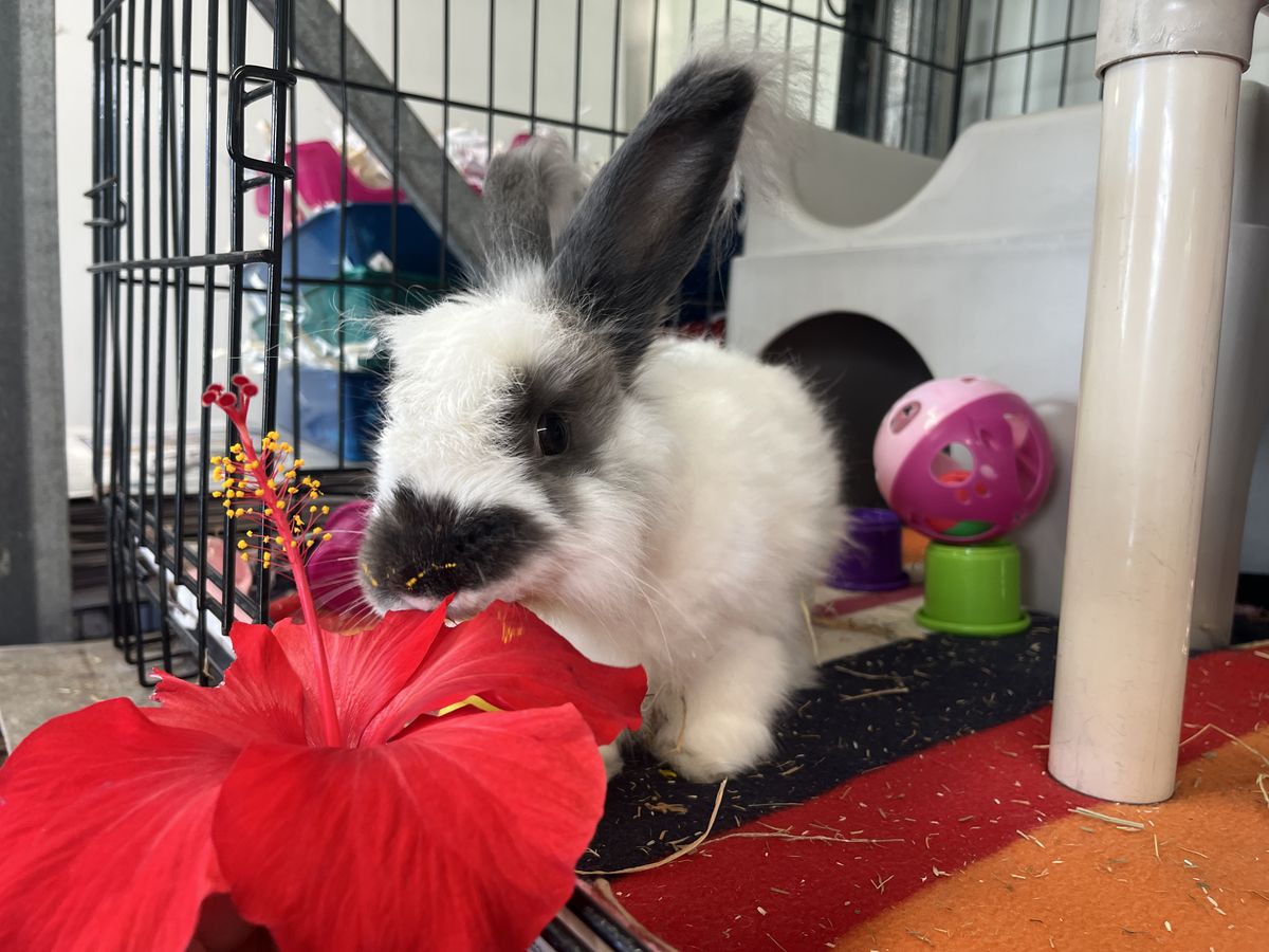 Gallery image: Hamish 