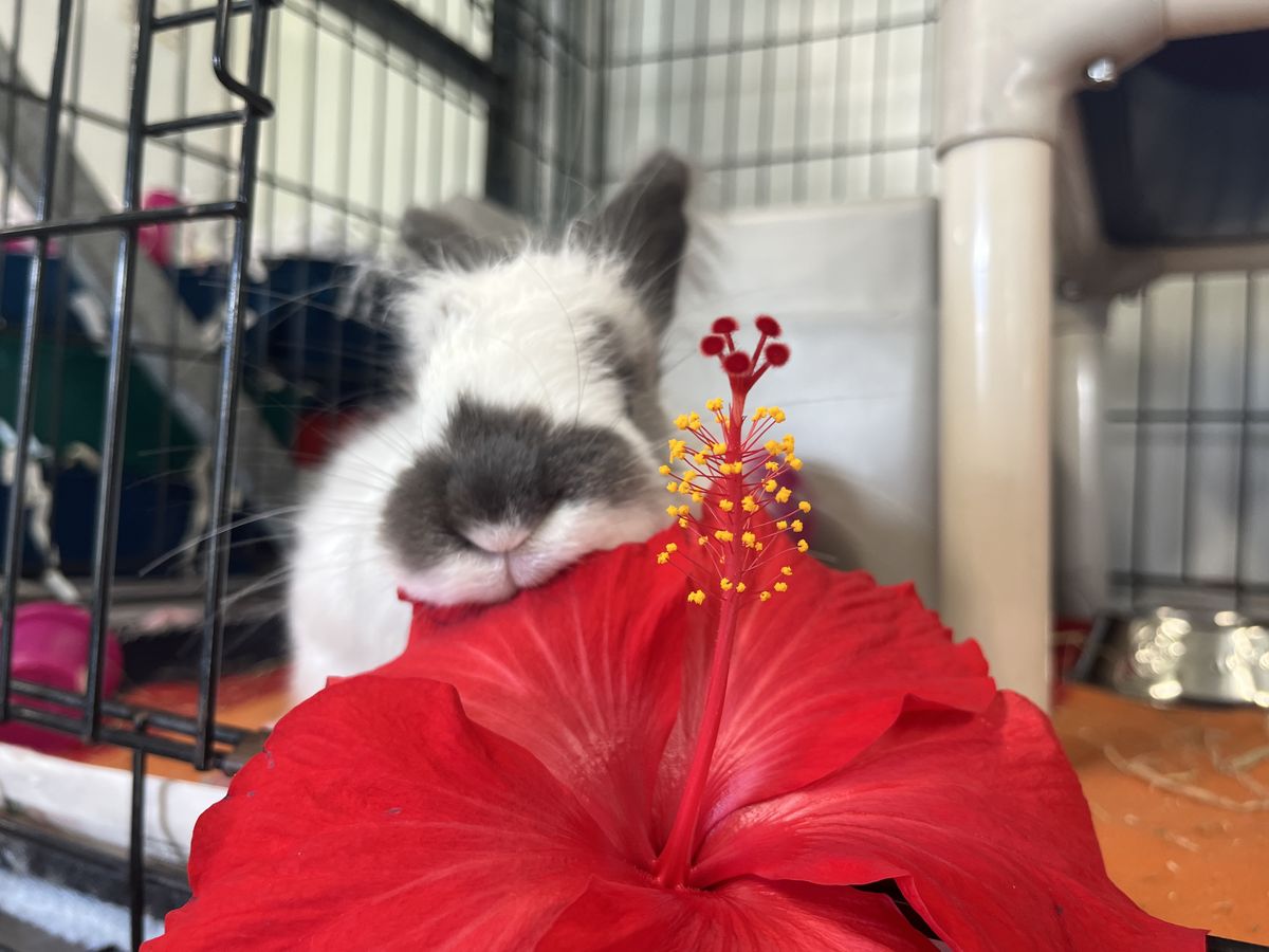 Gallery image: Hamish 