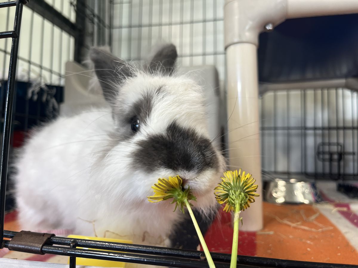 Gallery image: Hamish 