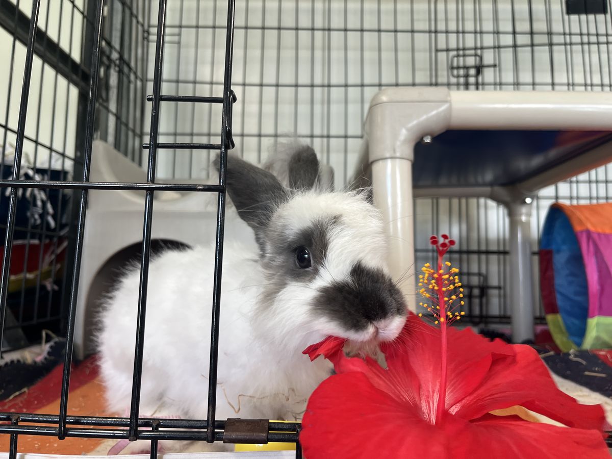 Gallery image: Hamish 