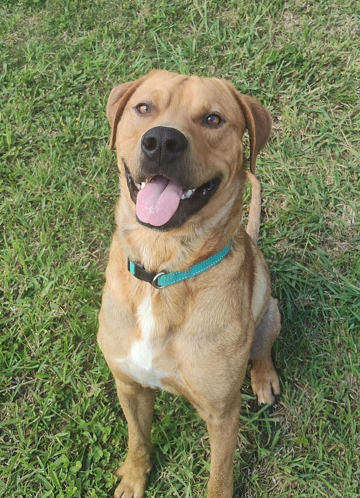 Gallery image: Clifford 