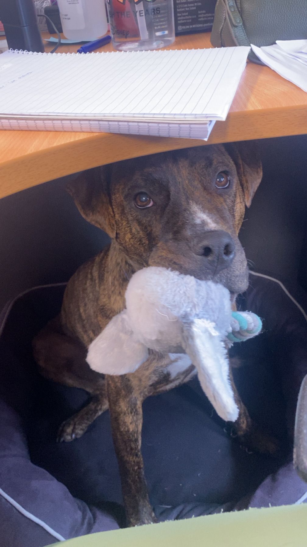 Gallery image: Nirvana