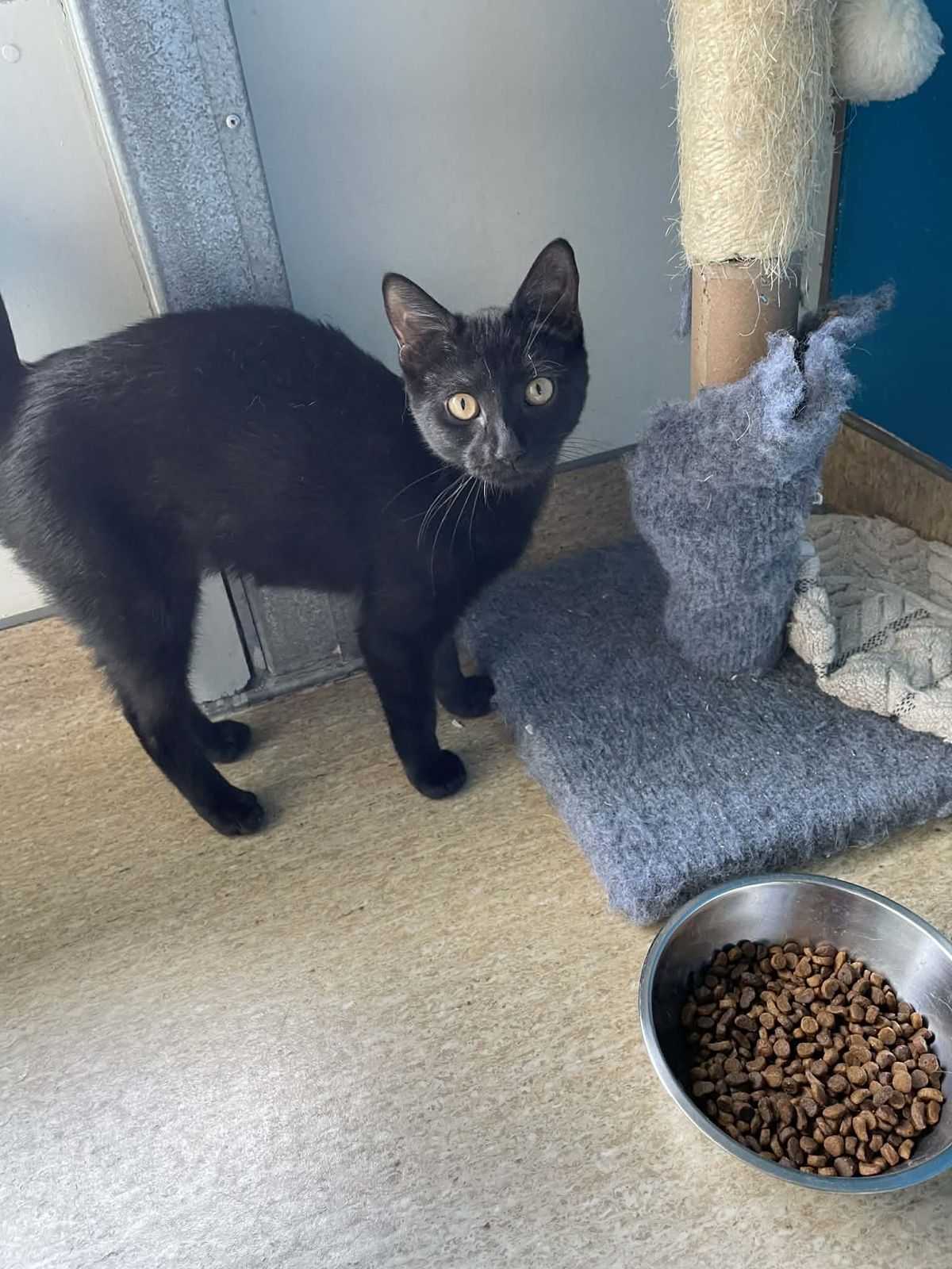 Gallery image: Vader