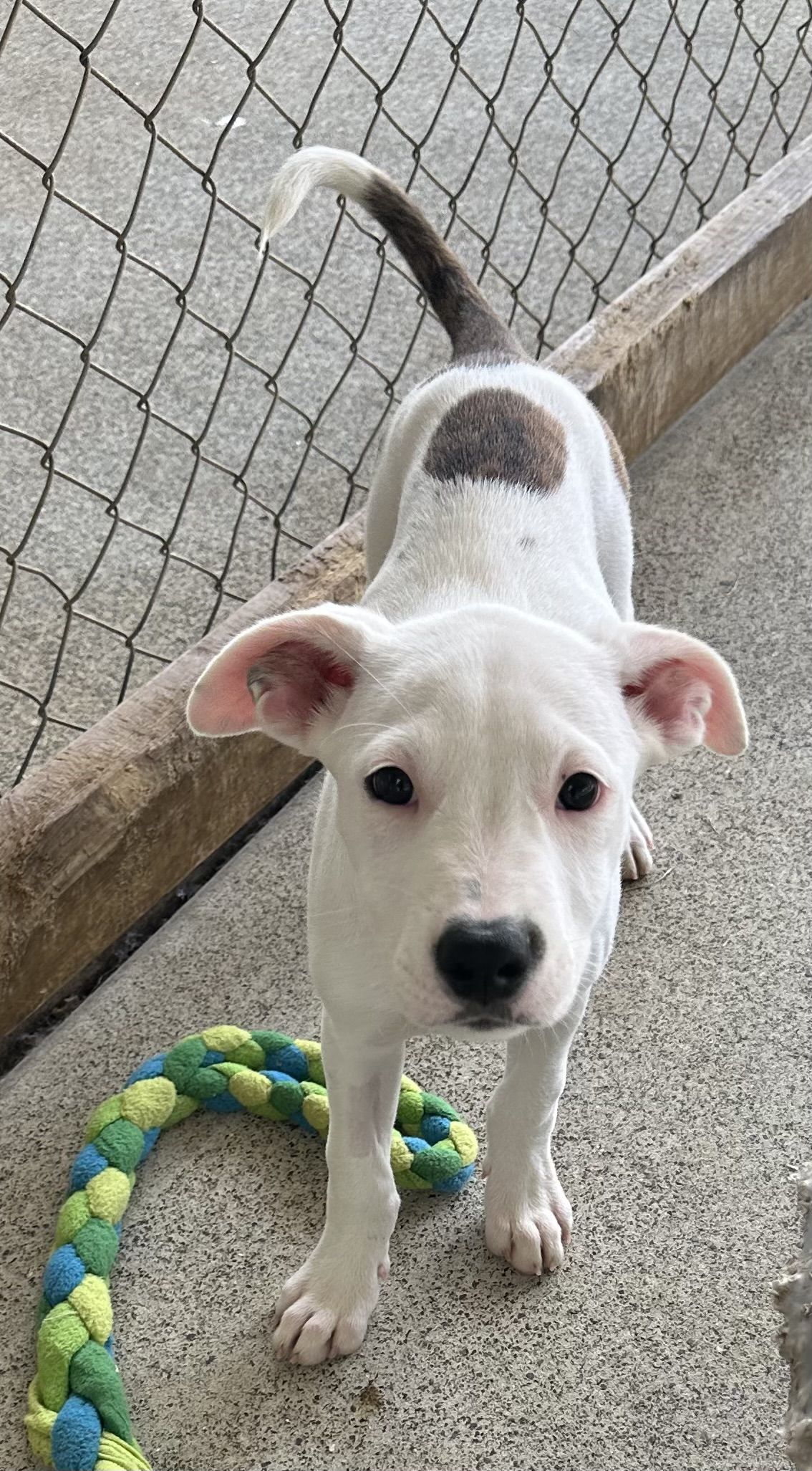 Gallery image: Sprinkle