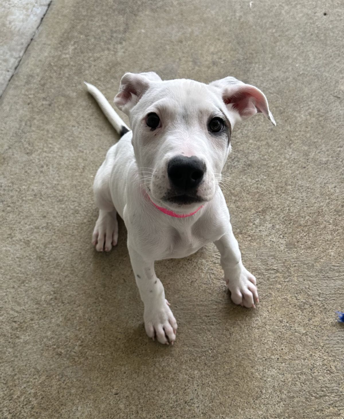 Gallery image: Syrup