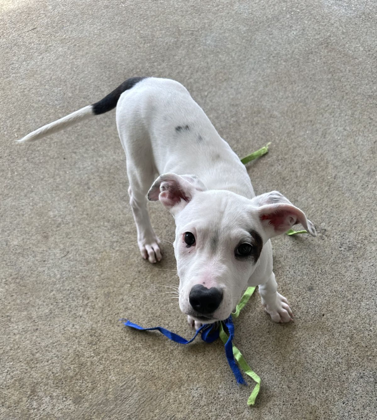 Gallery image: Syrup