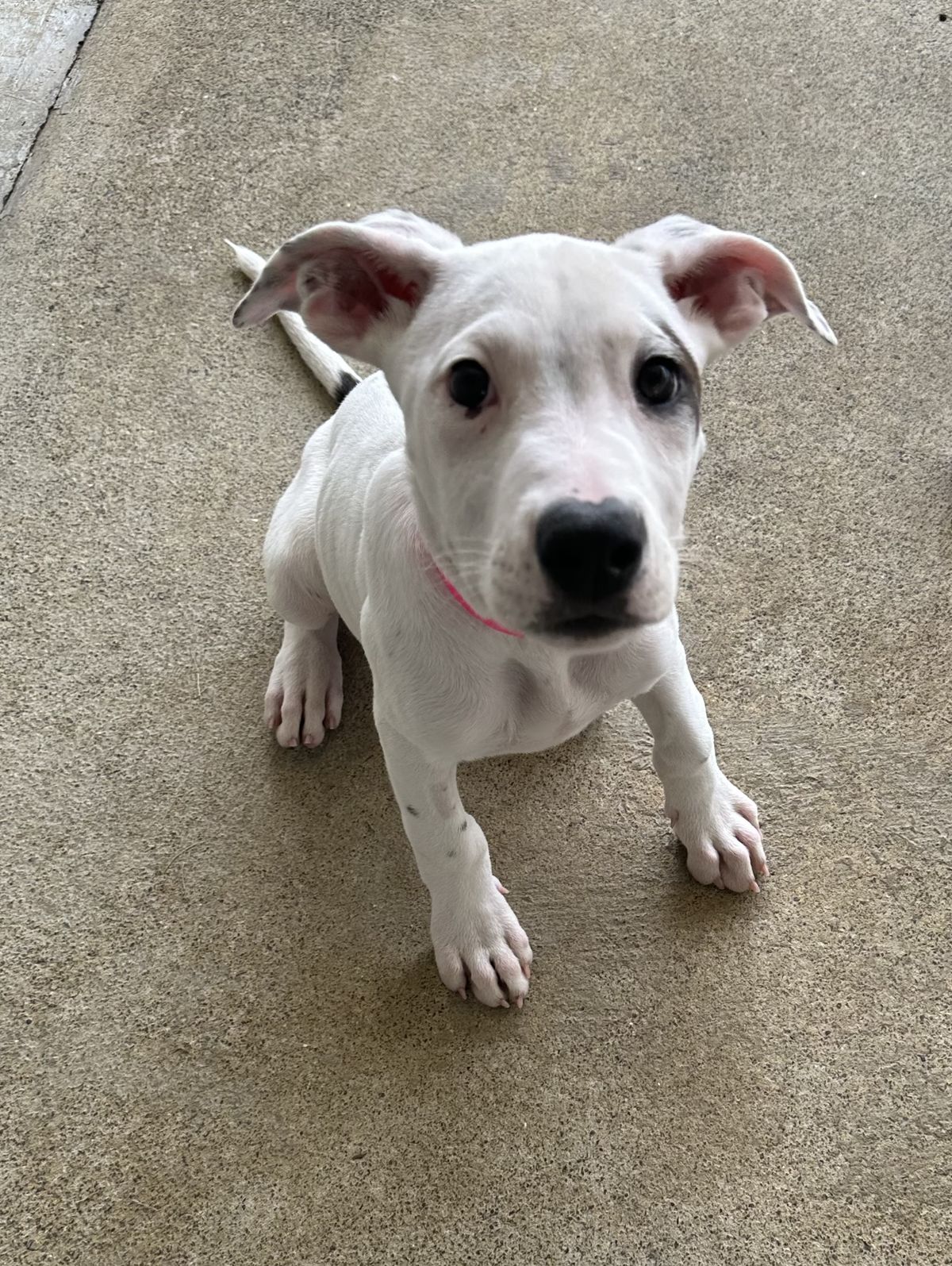 Gallery image: Syrup