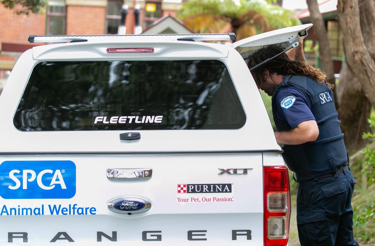 Northland woman charged after breaching order to own animals