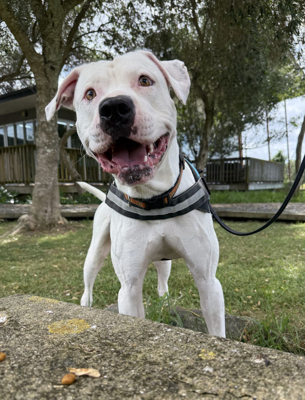 Gallery image: Cooper