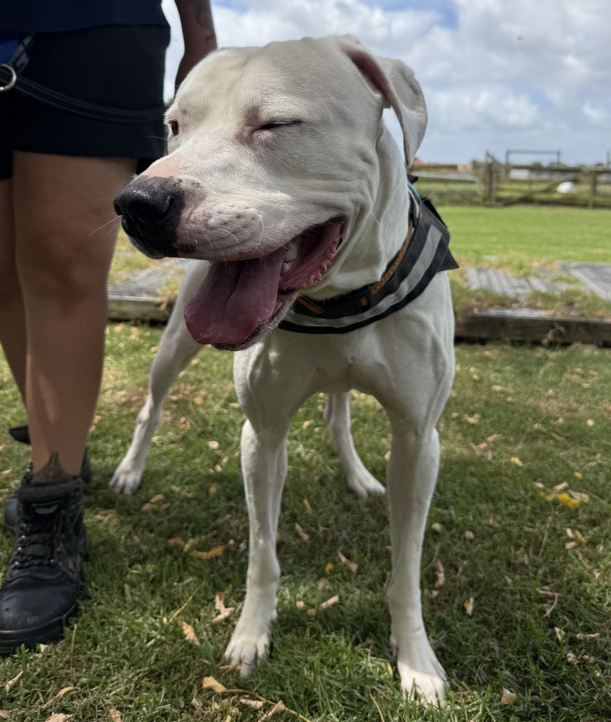 Gallery image: Cooper