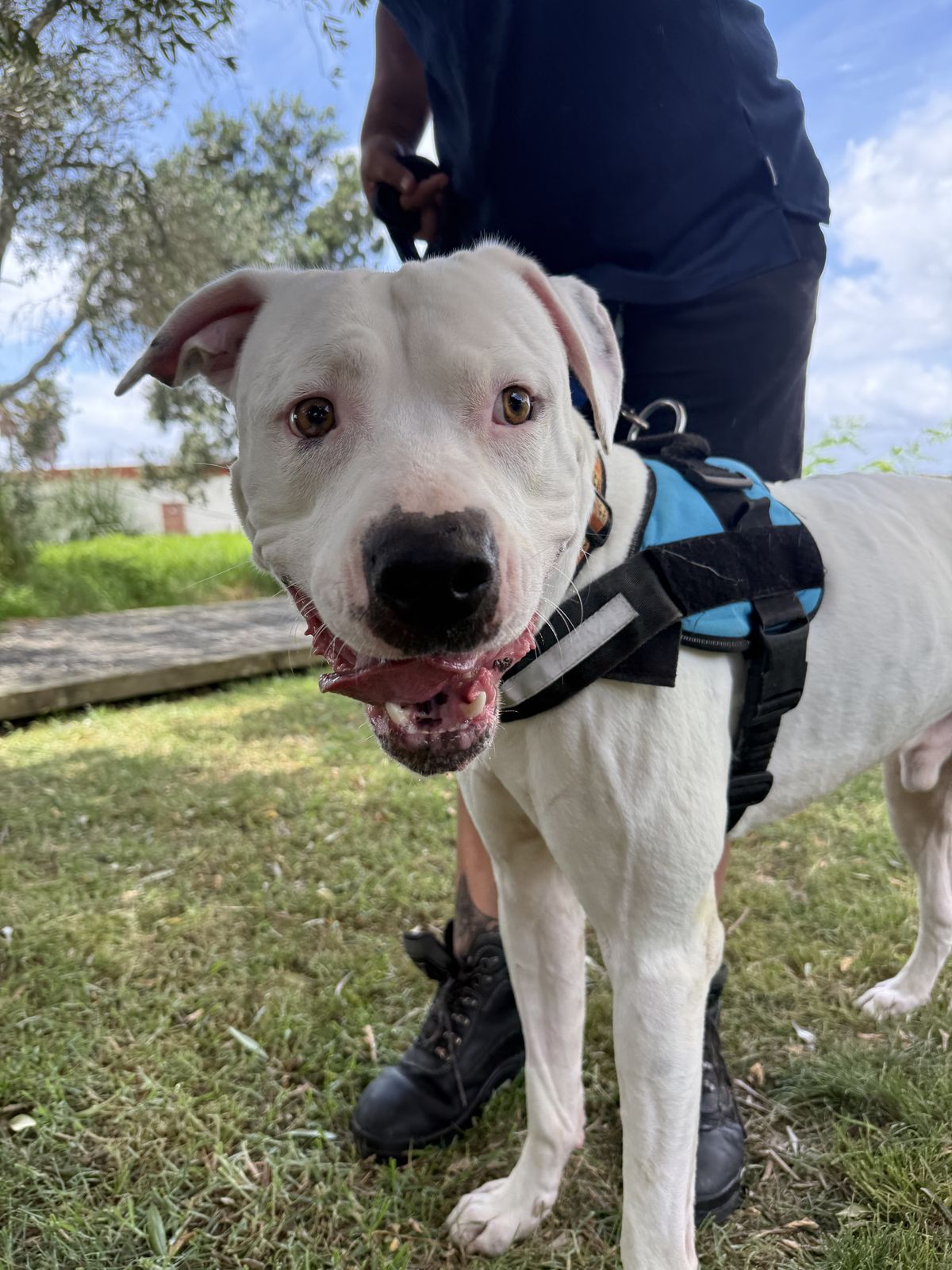 Gallery image: Cooper