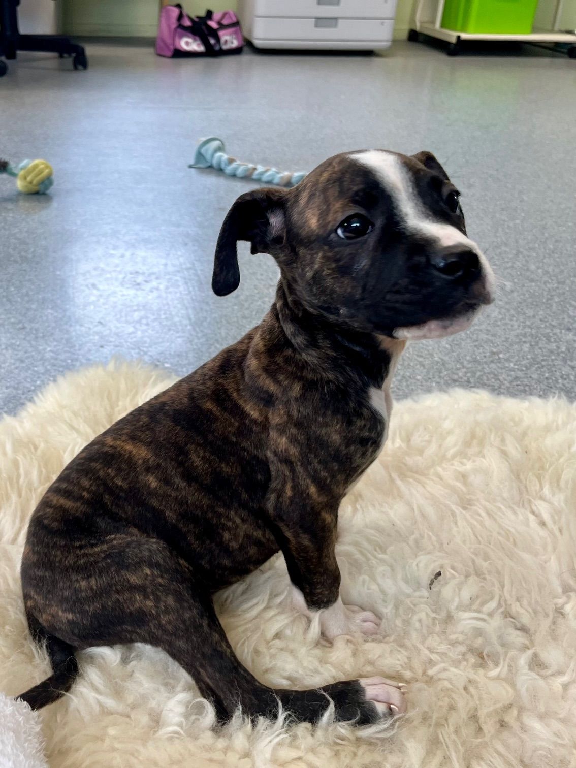 Gallery image: Kiara