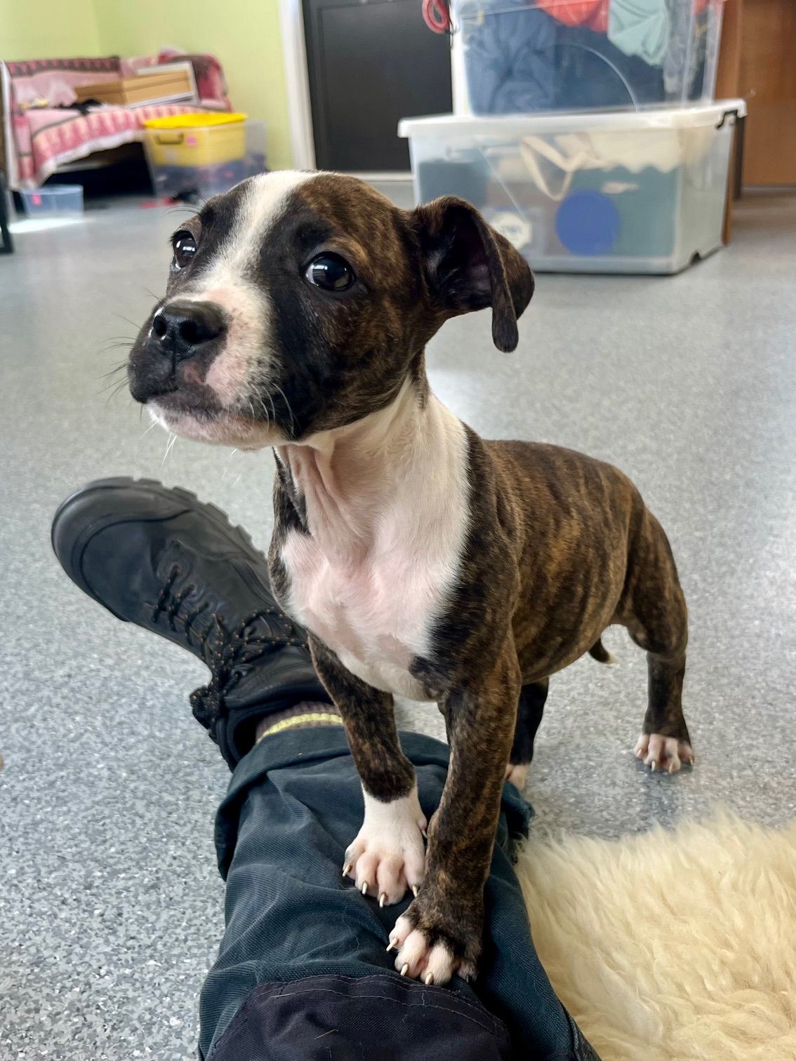 Gallery image: Kiara