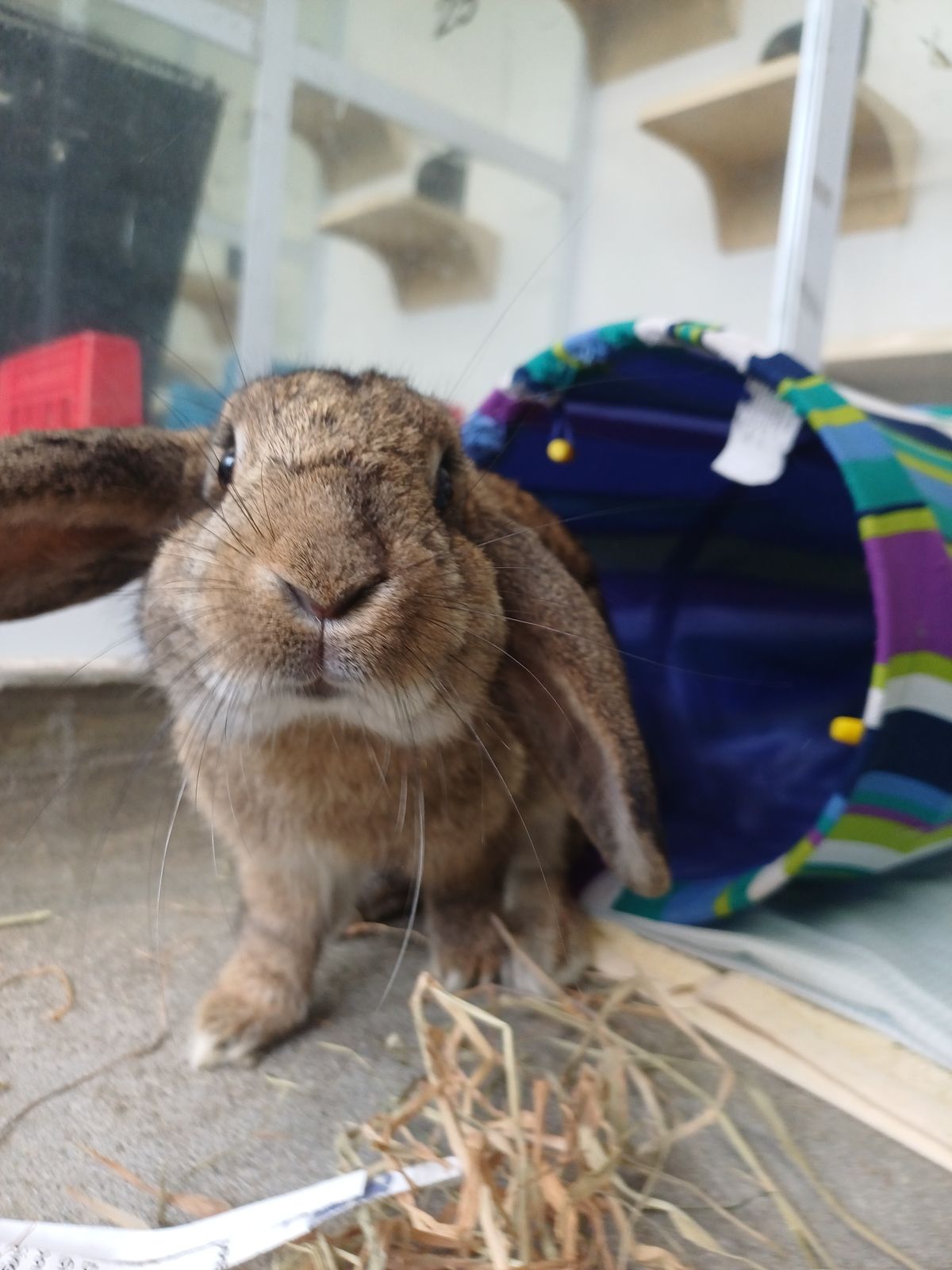 Gallery image: Peter