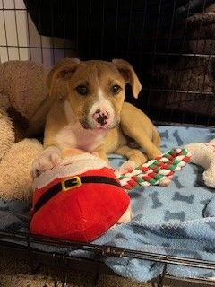 Gallery image: Sandy