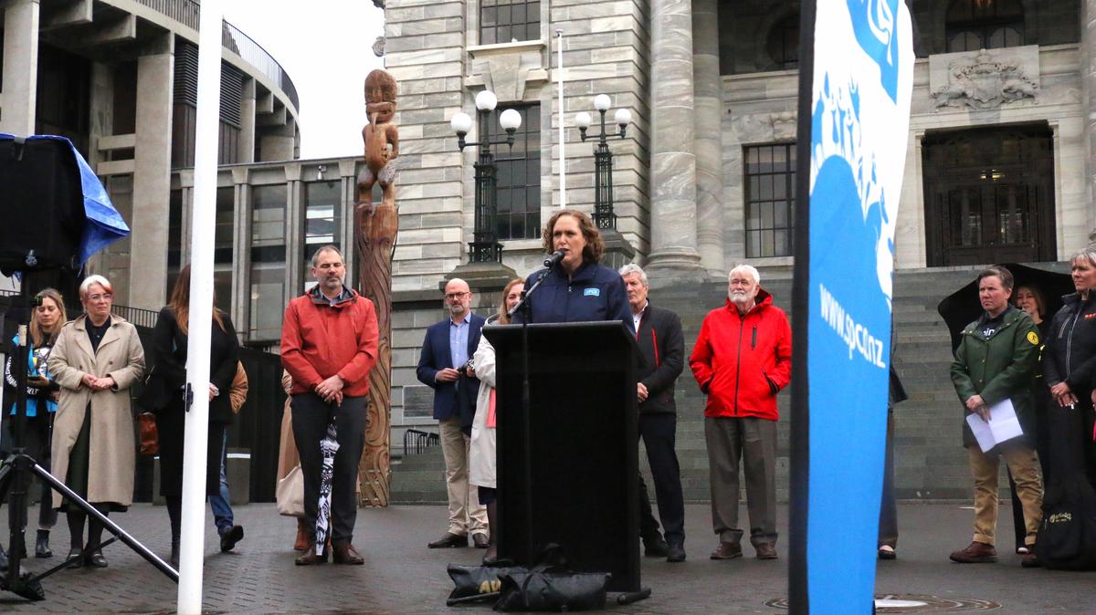 Victory for animals: Minister confirms plans to bring back live export have stalled 