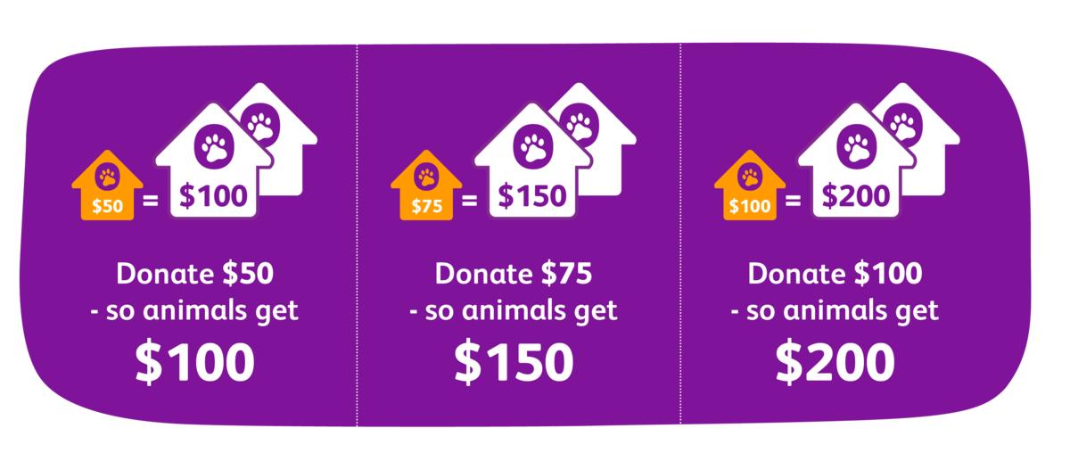 Infographic showing different amounts of money being doubled