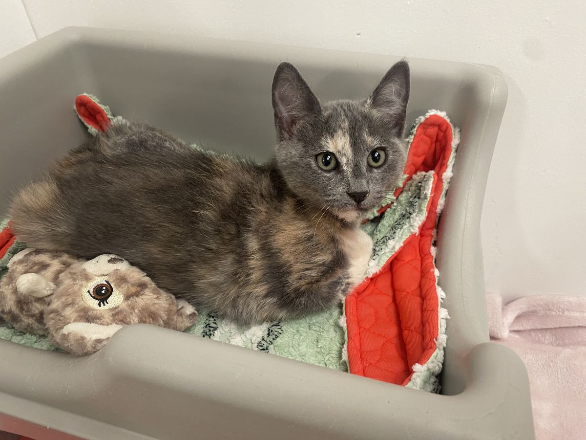 Gallery image: Ethel