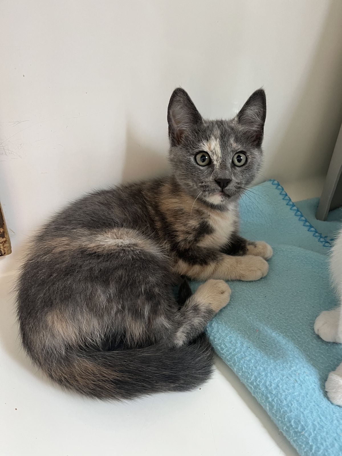 Gallery image: Ethel