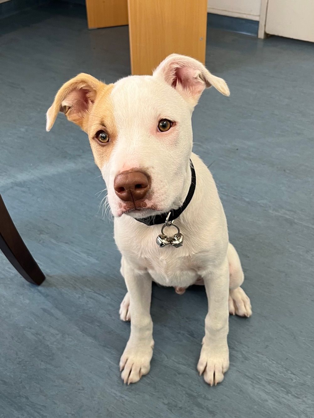 Gallery image: Radar