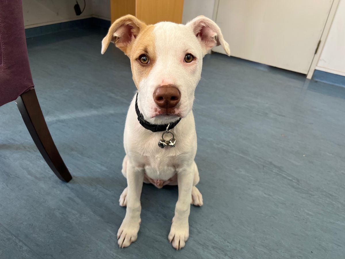 Gallery image: Radar