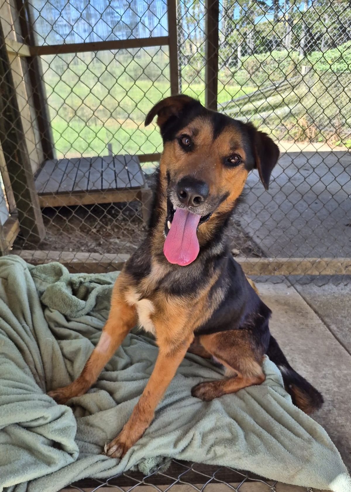 Gallery image: Diego