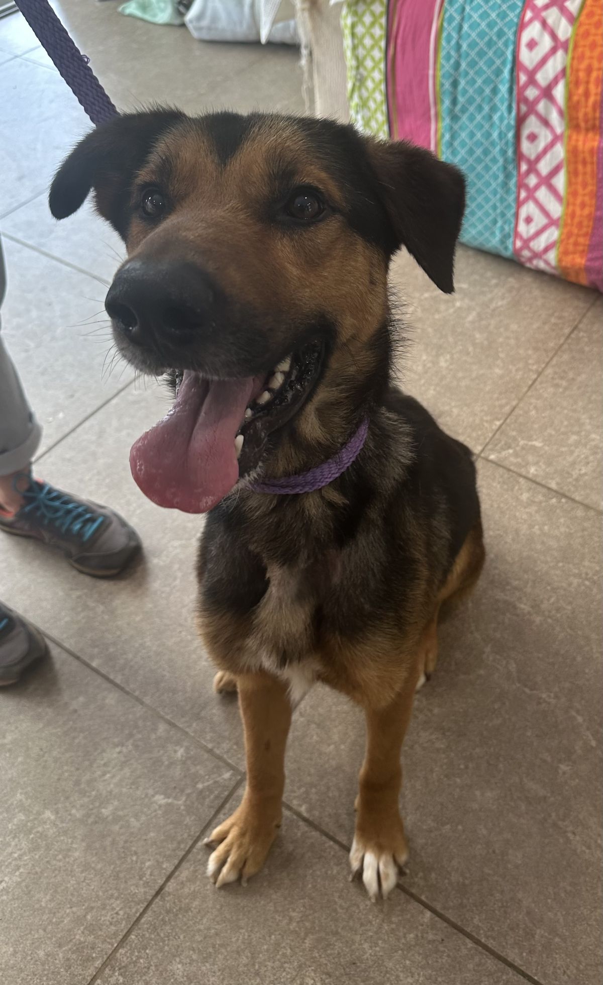 Gallery image: Diego