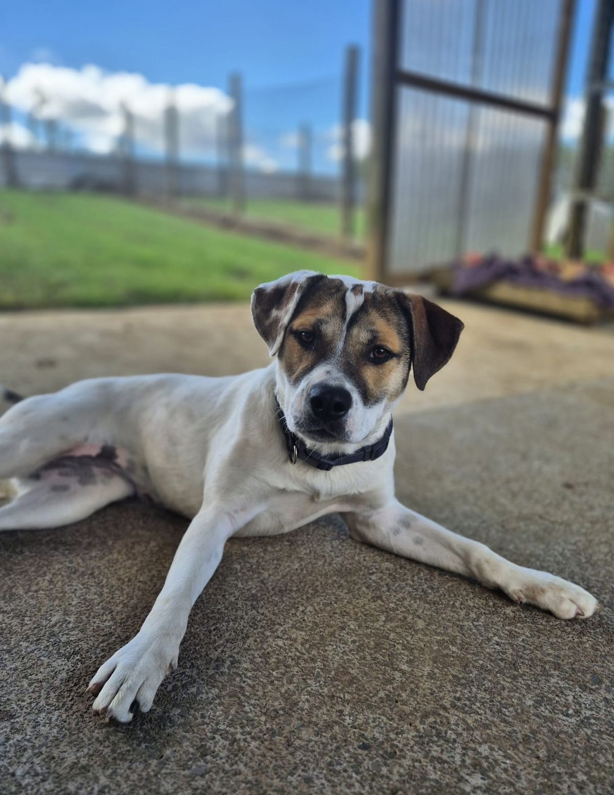 Gallery image: Marley