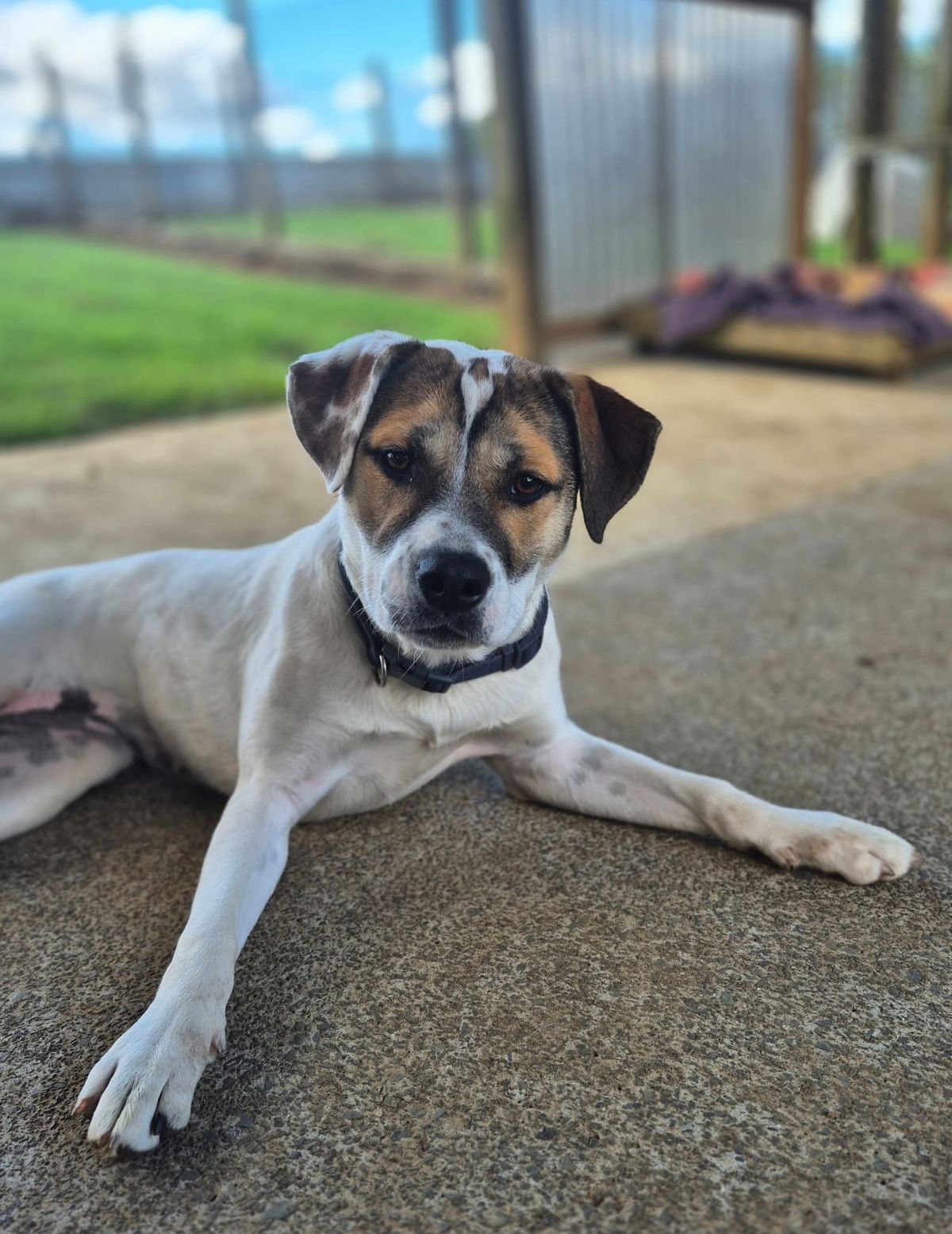 Gallery image: Marley