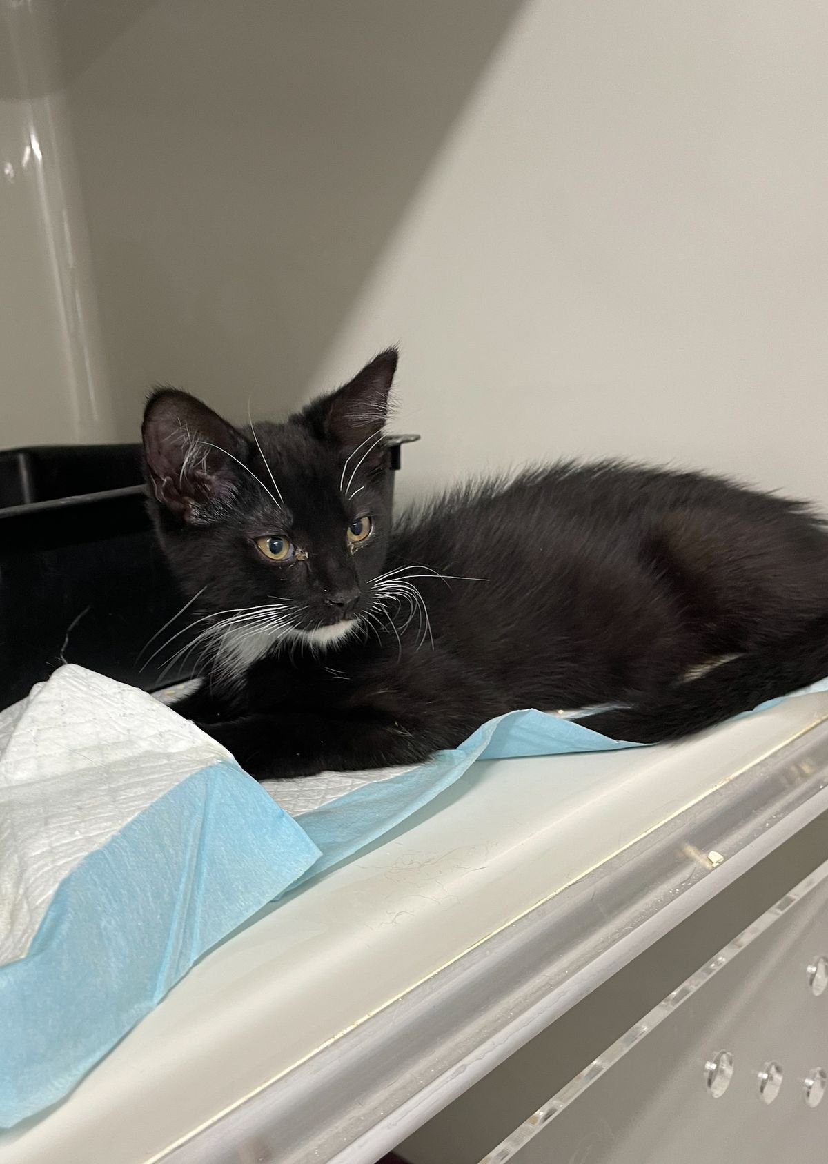 Gallery image: Crackers