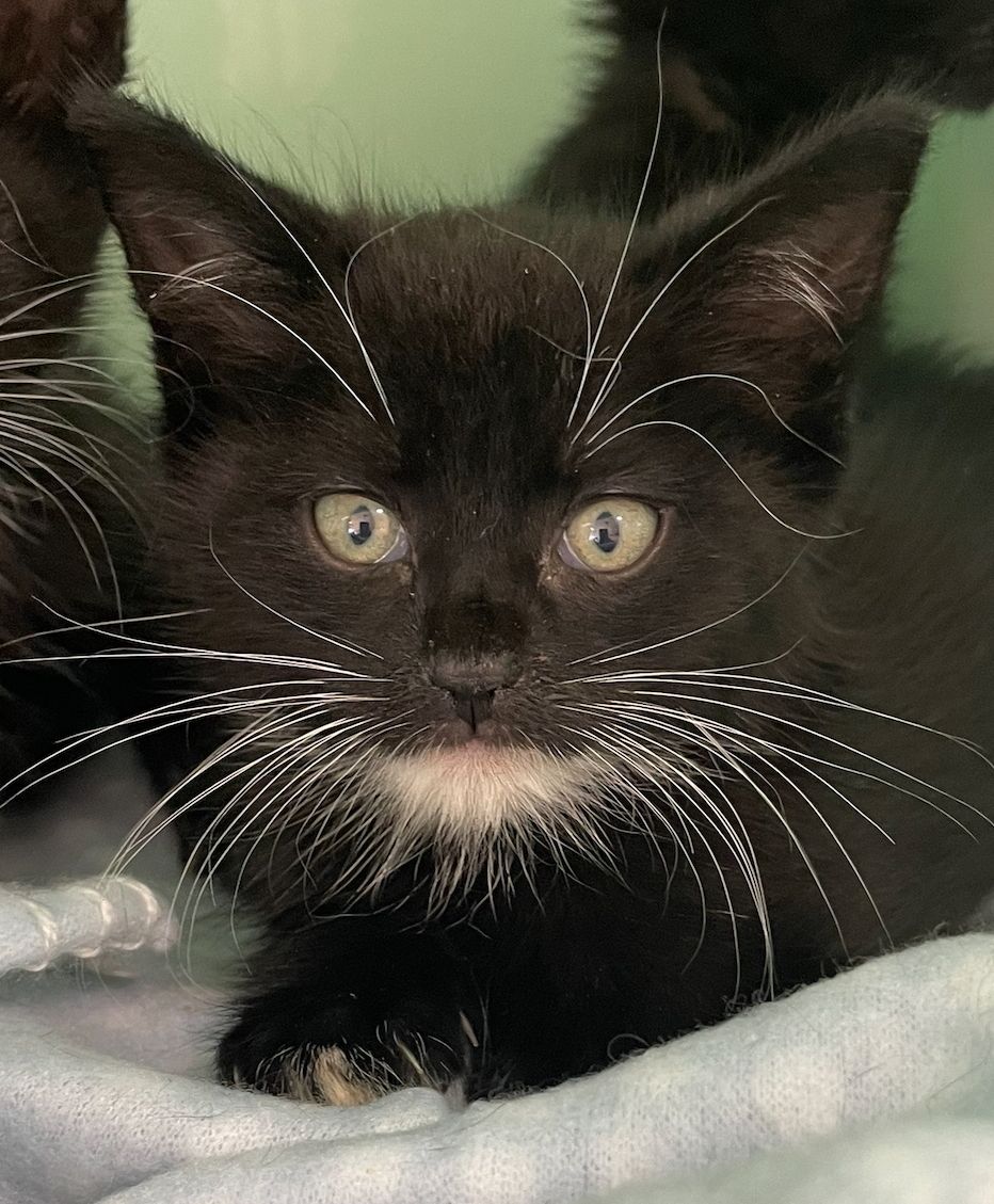 Gallery image: Crackers