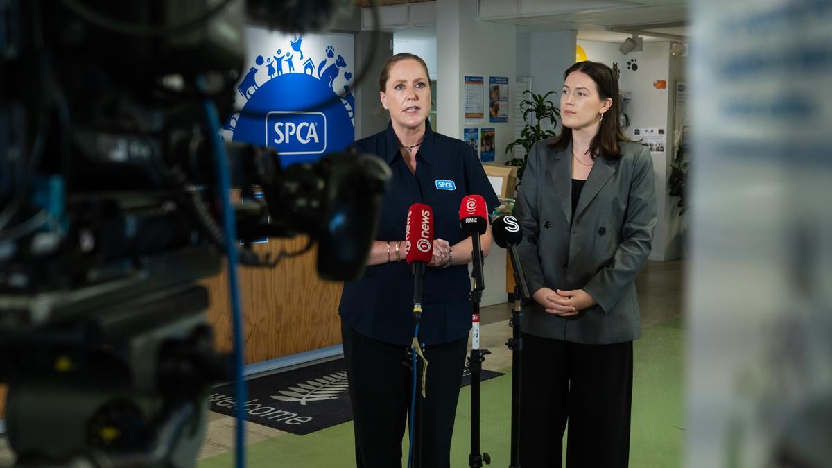 Government invests nearly half a million dollars with SPCA to desex roaming dogs in Auckland and Northland