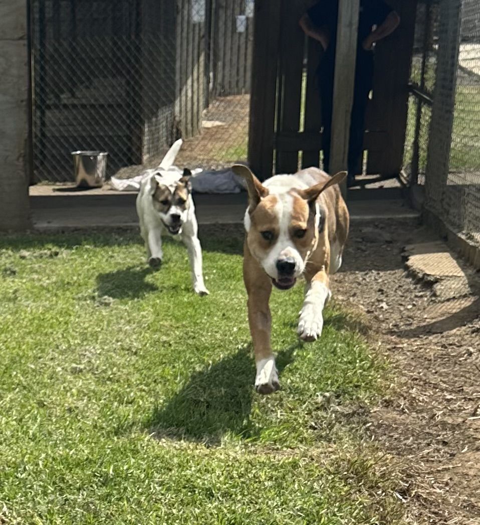 Gallery image: Murphy