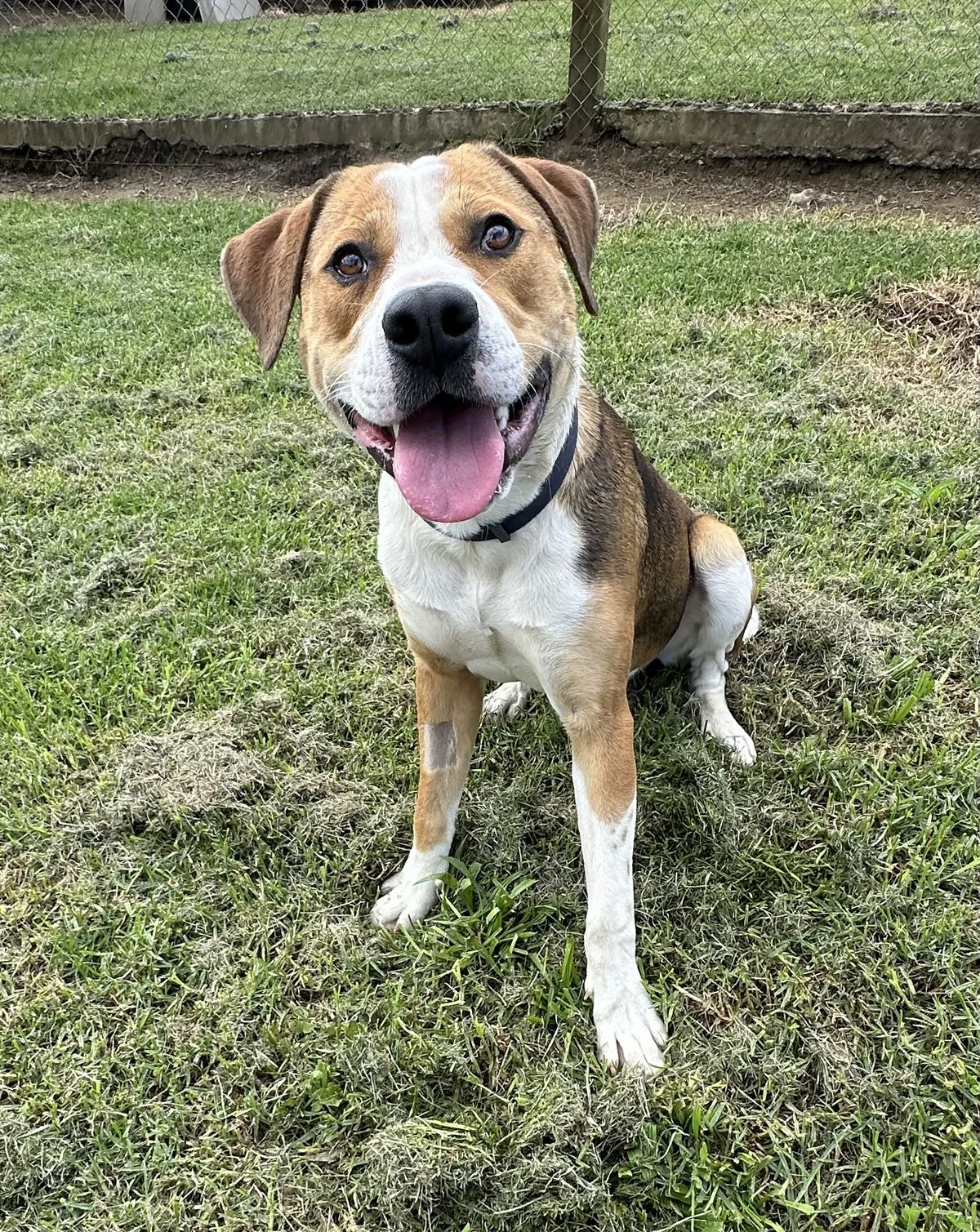 Gallery image: Murphy