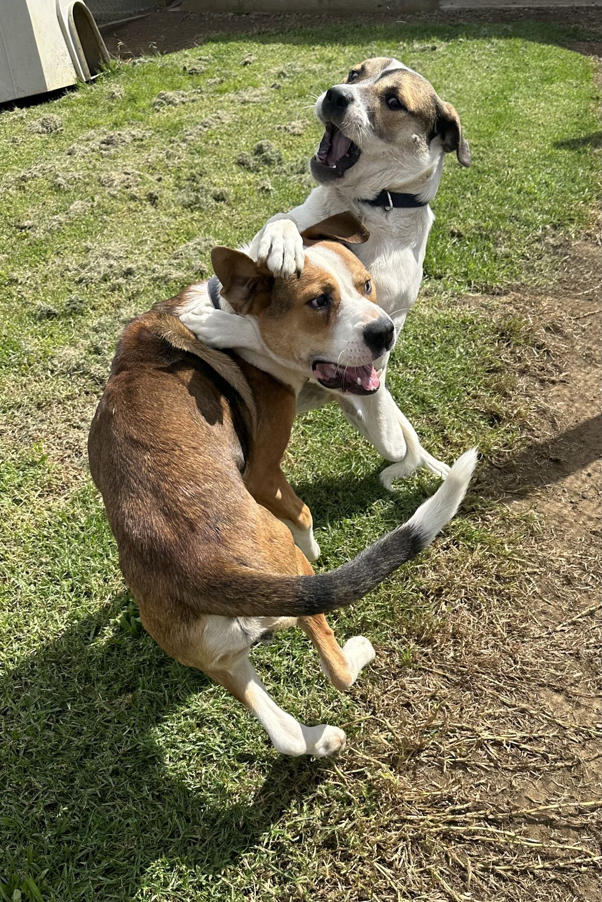 Gallery image: Marley