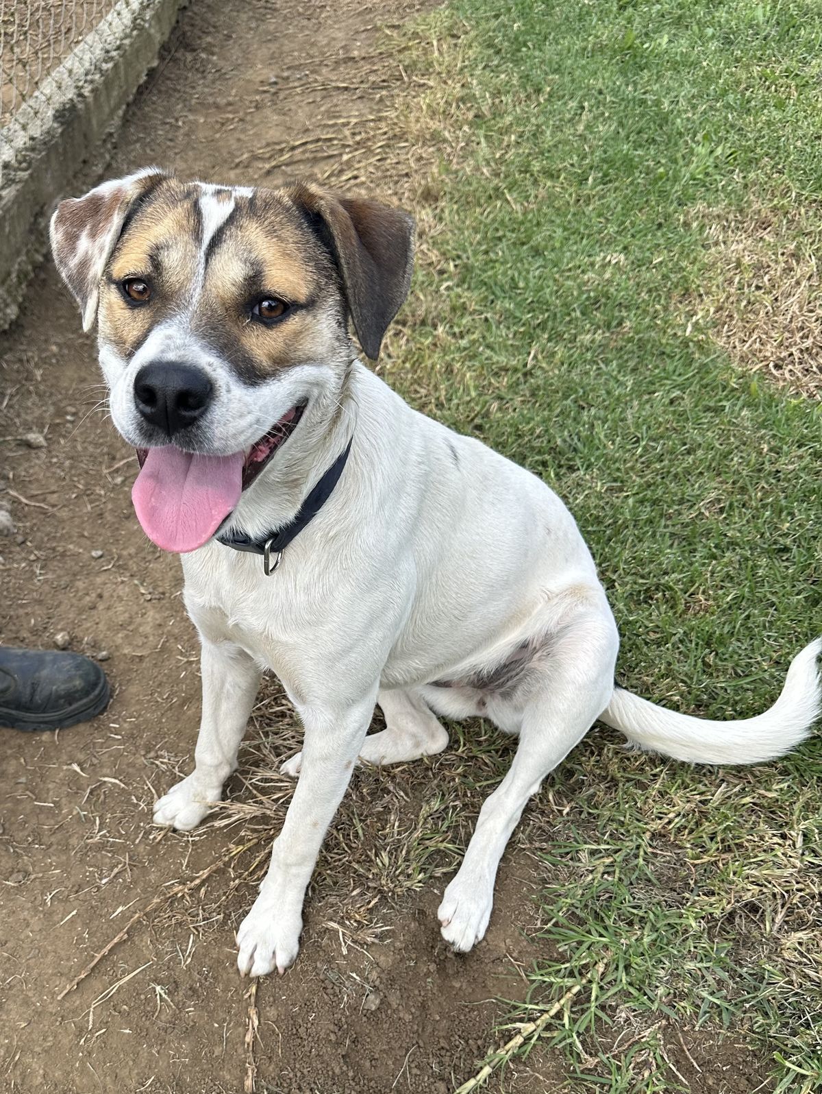 Gallery image: Marley