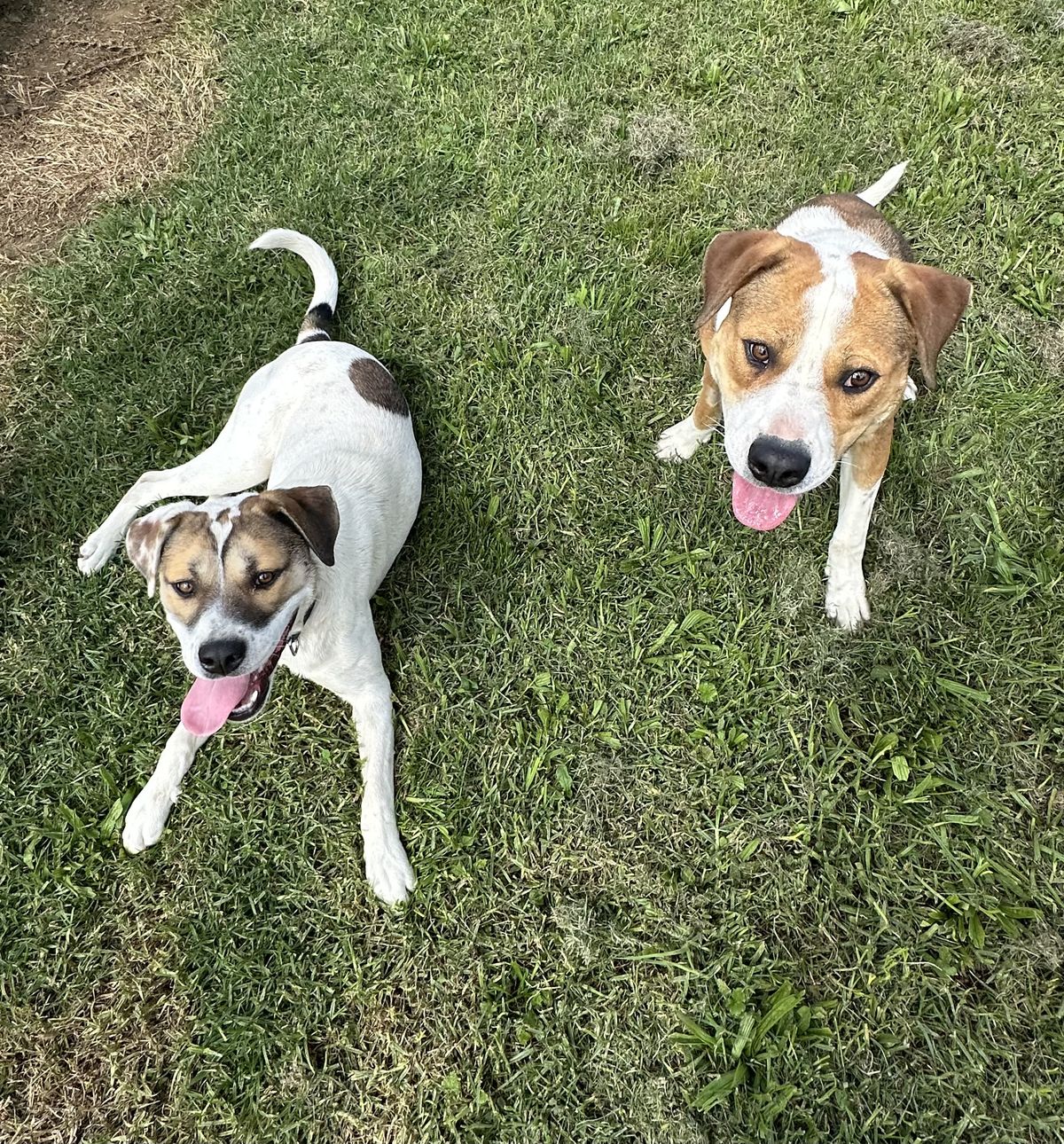 Gallery image: Marley