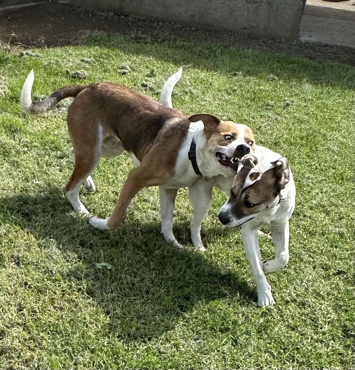 Gallery image: Marley