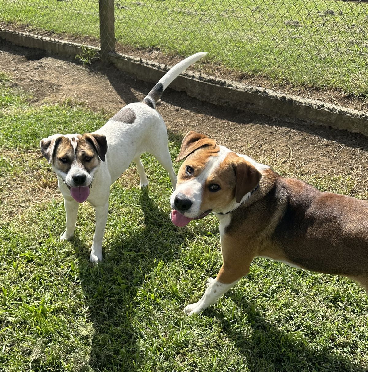 Gallery image: Marley