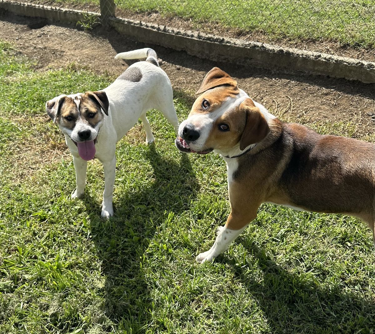 Gallery image: Marley