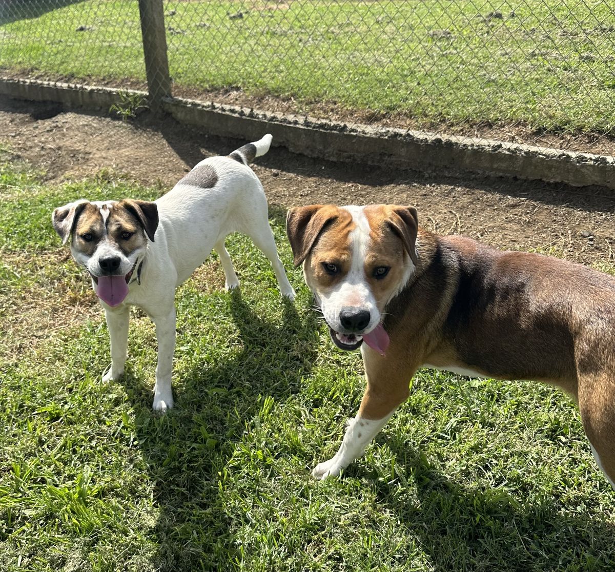 Gallery image: Marley