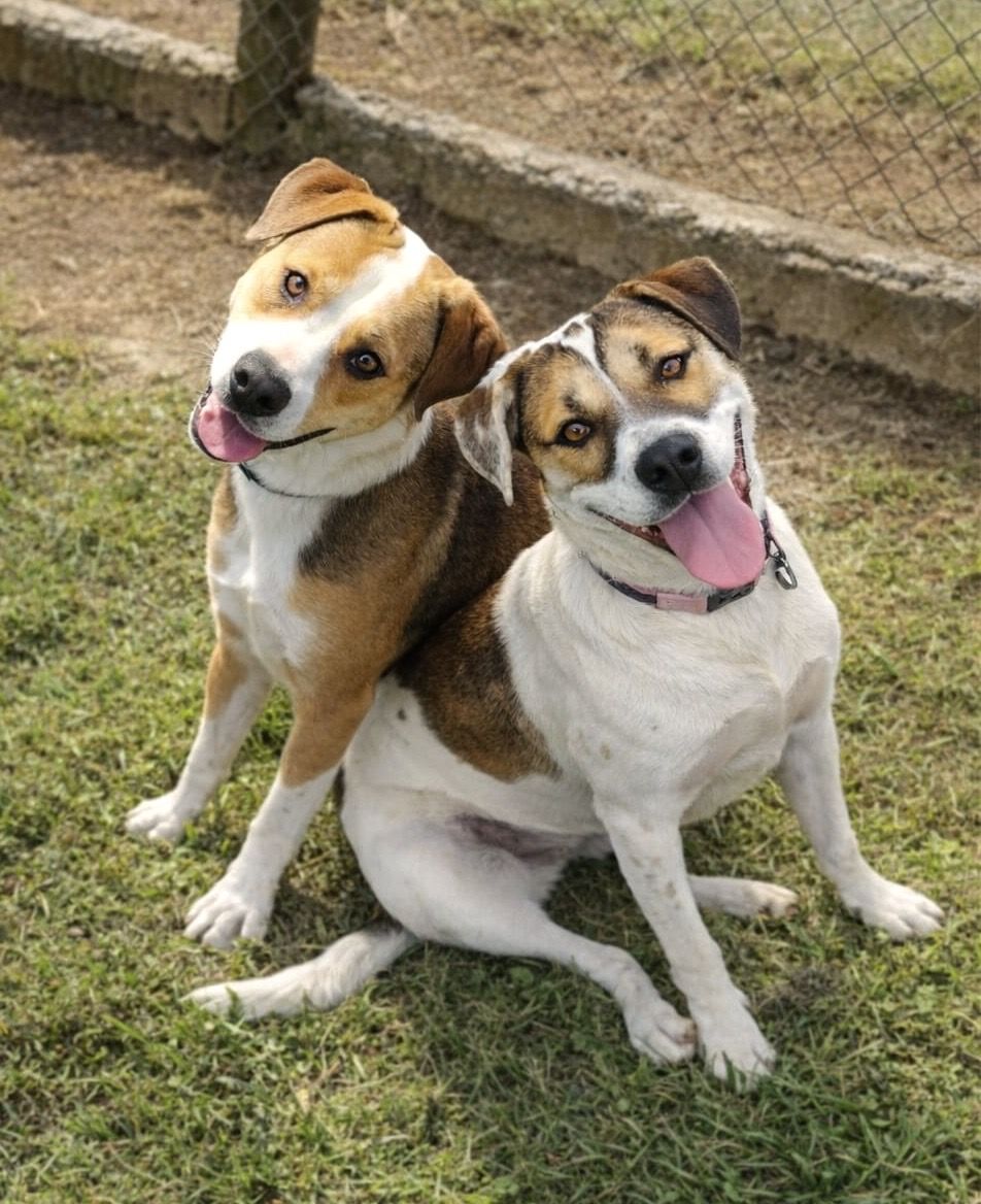 Gallery image: Marley