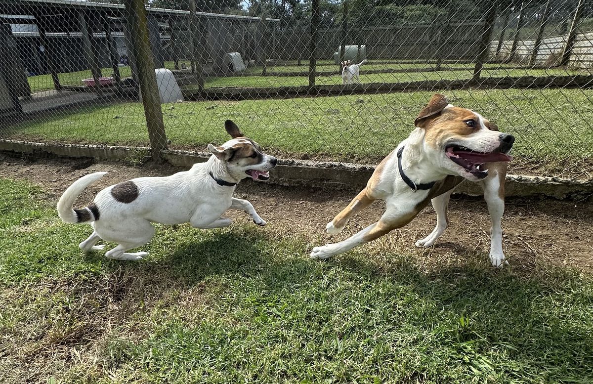 Gallery image: Murphy